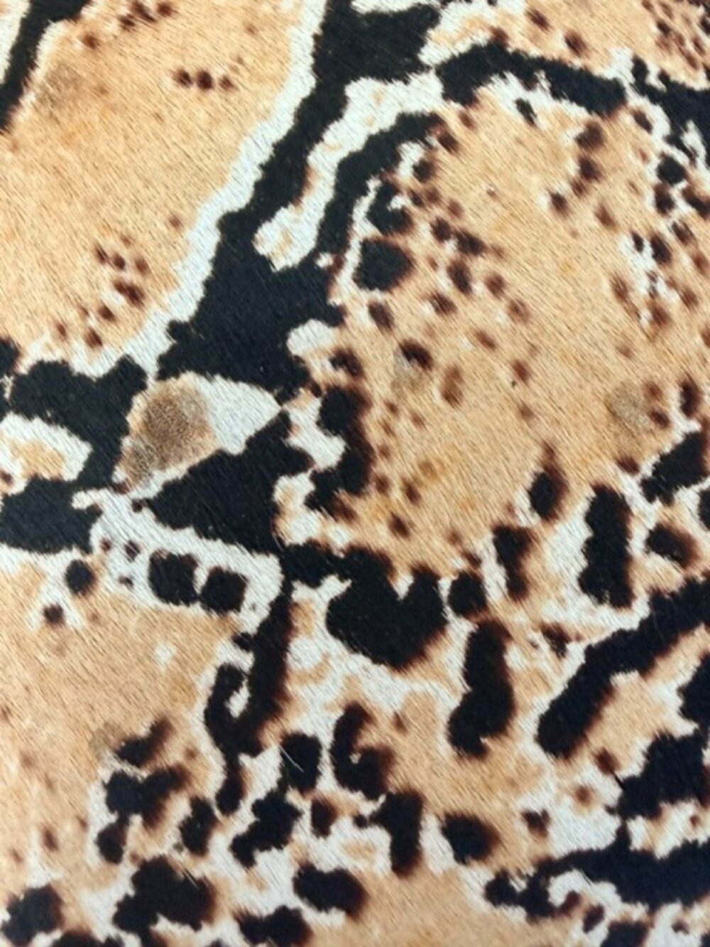 Patricia Nash Scafati Python Print Circle Crossbody - NWT - Picture 6 of 7